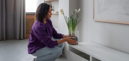 dicas de decoracao